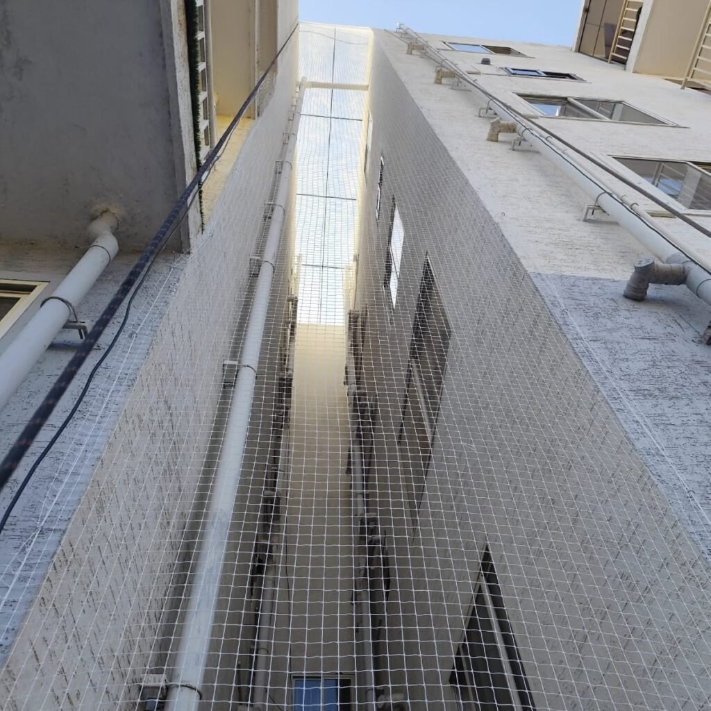 whatsapp image 2026 03 13 at 10.27.37 am (2)