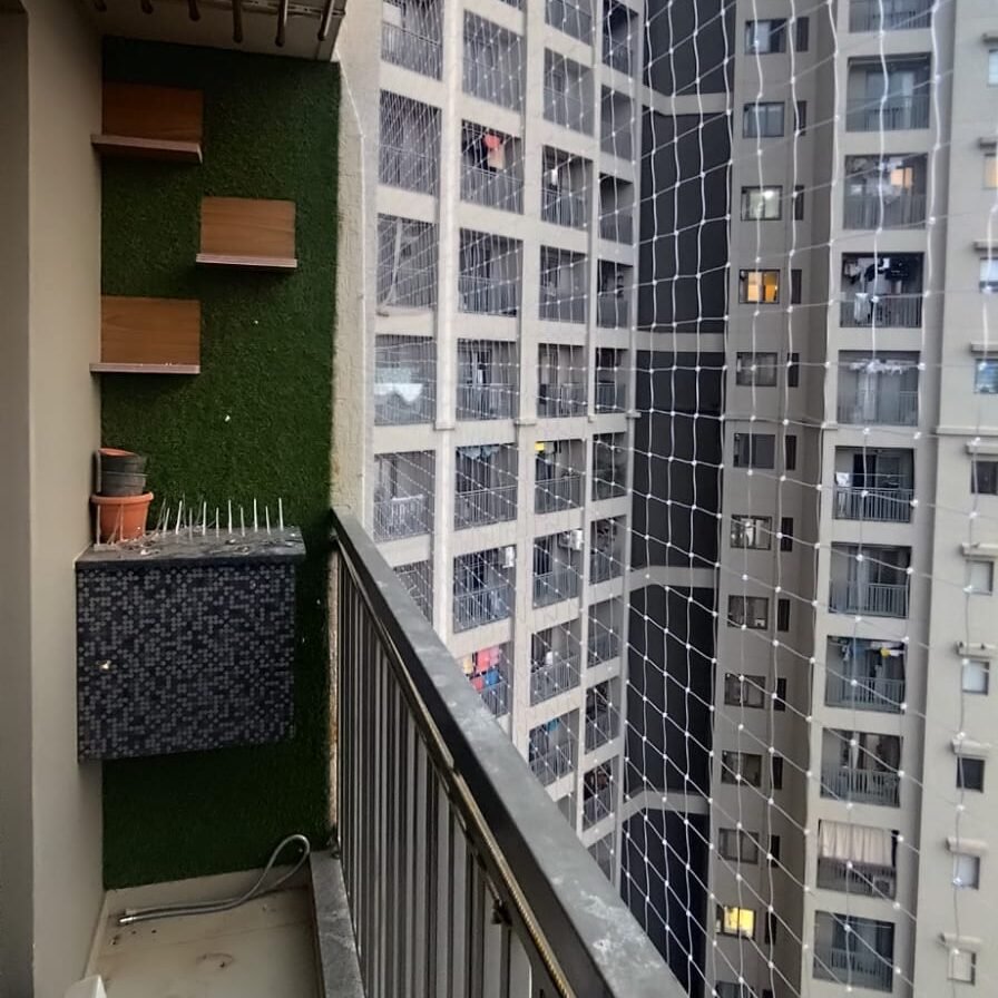 Home whatsapp image 2026 03 13 at 10.27.39 am